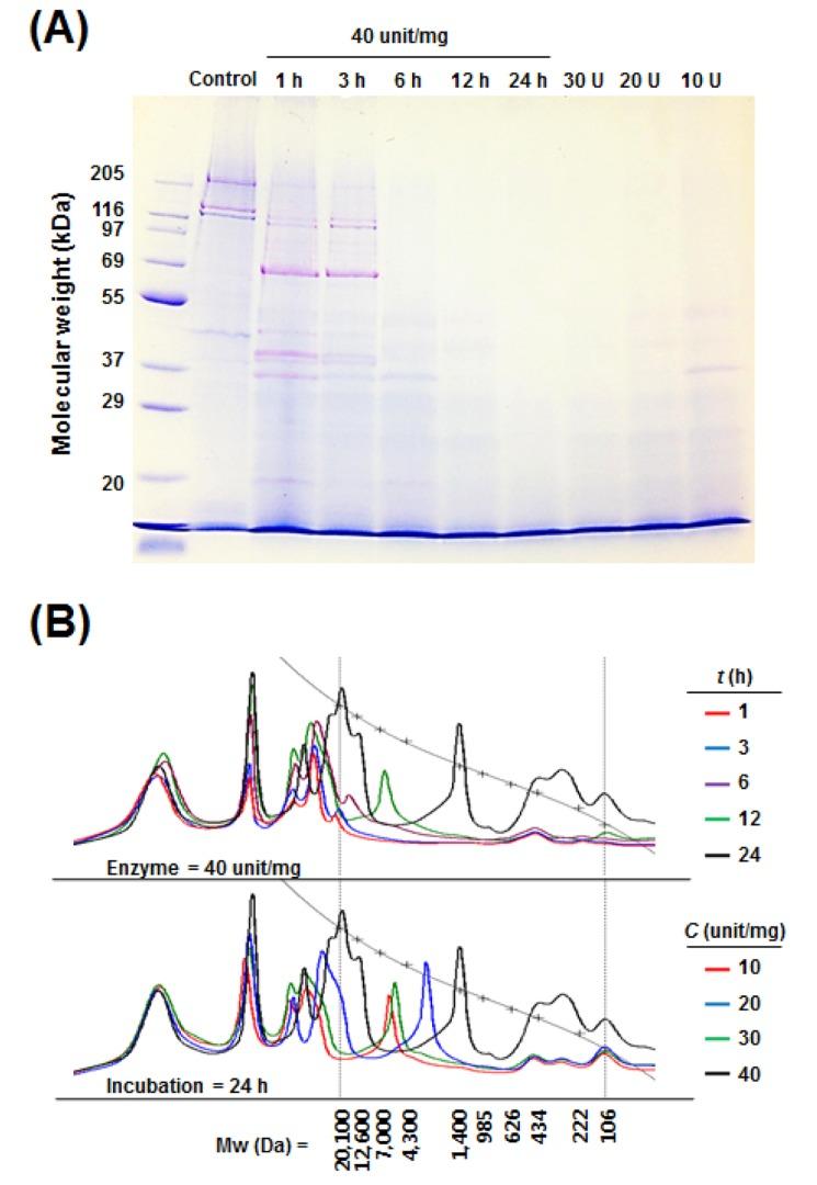 https://cdn.ncbi.nlm.nih.gov/pmc/blobs/6240/4597853/8541754e0bf3/kosfa-34-151-f004.jpg