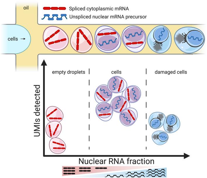 https://cdn.ncbi.nlm.nih.gov/pmc/blobs/6240/8641258/c2d074ffdd16/13059_2021_2547_Fig1_HTML.jpg