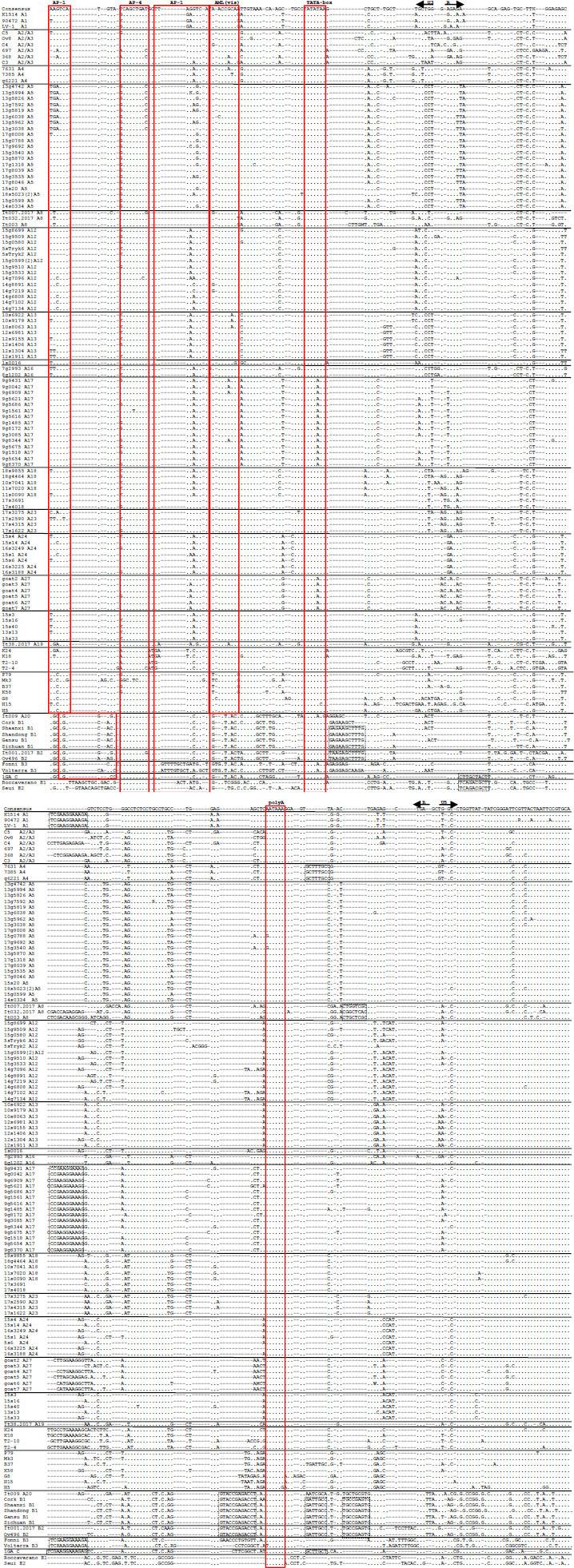 https://cdn.ncbi.nlm.nih.gov/pmc/blobs/6240/9945007/45d03b1fd5a8/jvetres-66-497-g005.jpg