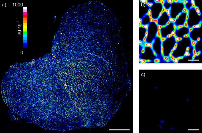 https://cdn.ncbi.nlm.nih.gov/pmc/blobs/6241/7806610/2acea62a9414/41598_2020_80495_Fig1_HTML.jpg