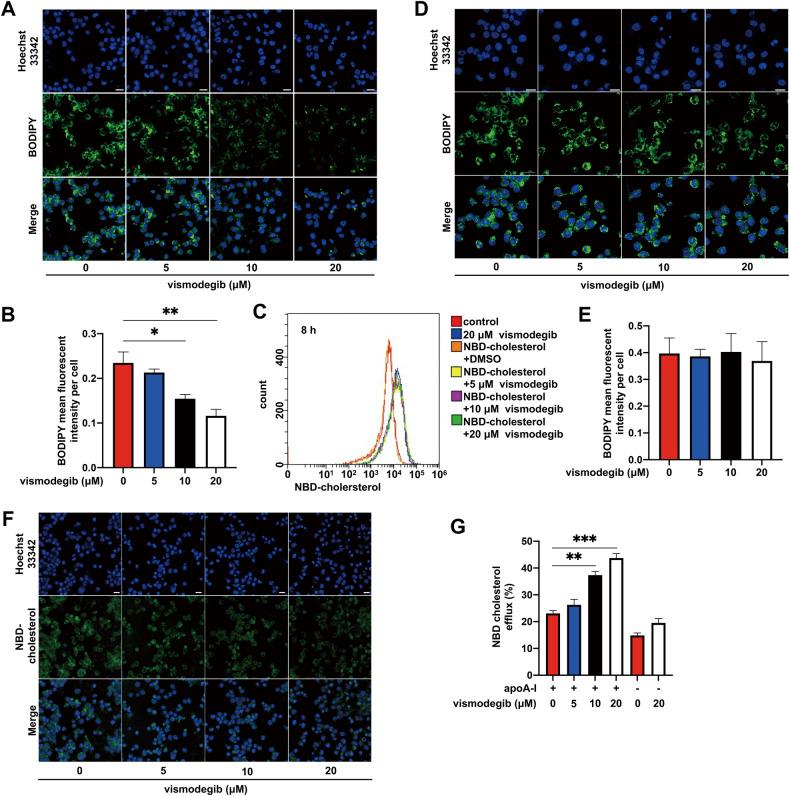https://cdn.ncbi.nlm.nih.gov/pmc/blobs/6242/10646116/f9c651277792/41419_2023_6270_Fig4_HTML.jpg