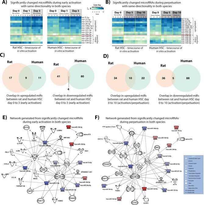 https://cdn.ncbi.nlm.nih.gov/pmc/blobs/6242/7728773/3832b503db8c/41598_2020_78776_Fig6_HTML.jpg
