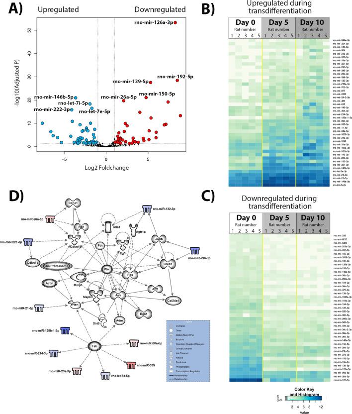 https://cdn.ncbi.nlm.nih.gov/pmc/blobs/6242/7728773/f7f7f87d7ec3/41598_2020_78776_Fig5_HTML.jpg