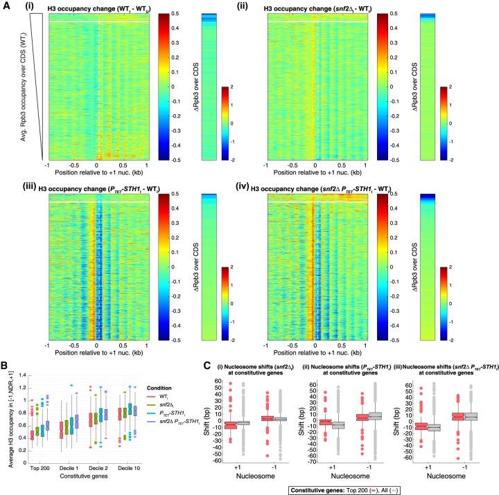 https://cdn.ncbi.nlm.nih.gov/pmc/blobs/6243/6004078/2b616a44d528/695f04.jpg