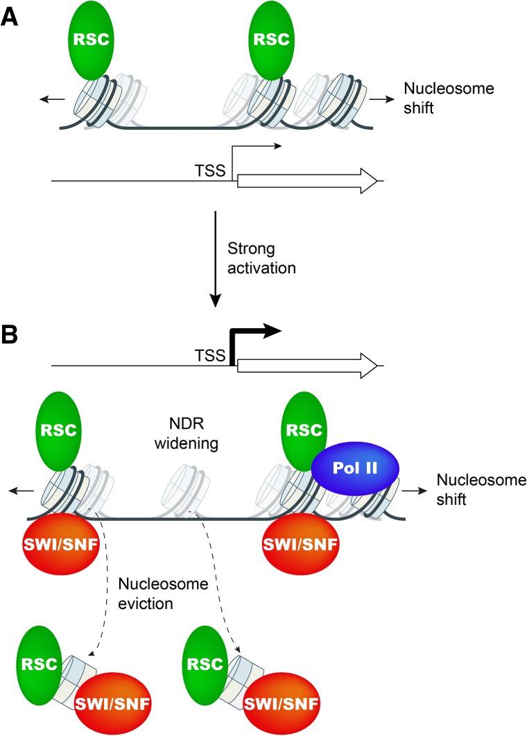 https://cdn.ncbi.nlm.nih.gov/pmc/blobs/6243/6004078/87eac4837a97/695f07.jpg