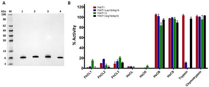 https://cdn.ncbi.nlm.nih.gov/pmc/blobs/6245/7692546/ece765ef7721/41598_2020_77687_Fig4_HTML.jpg