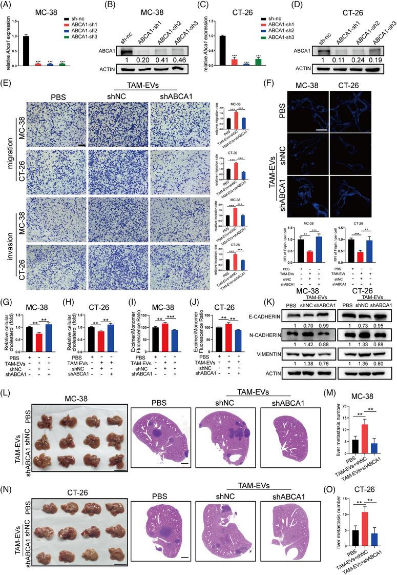https://cdn.ncbi.nlm.nih.gov/pmc/blobs/6246/10883245/9edd19f20d1e/CTM2-14-e1591-g004.jpg