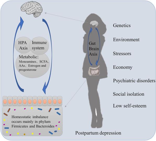 https://cdn.ncbi.nlm.nih.gov/pmc/blobs/6248/10523734/cca604ccd2e9/12991_2023_469_Fig1_HTML.jpg