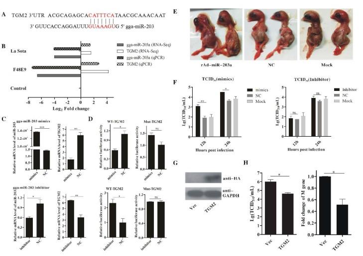 https://cdn.ncbi.nlm.nih.gov/pmc/blobs/6249/5983721/13774e586232/ijms-19-01291-g005.jpg