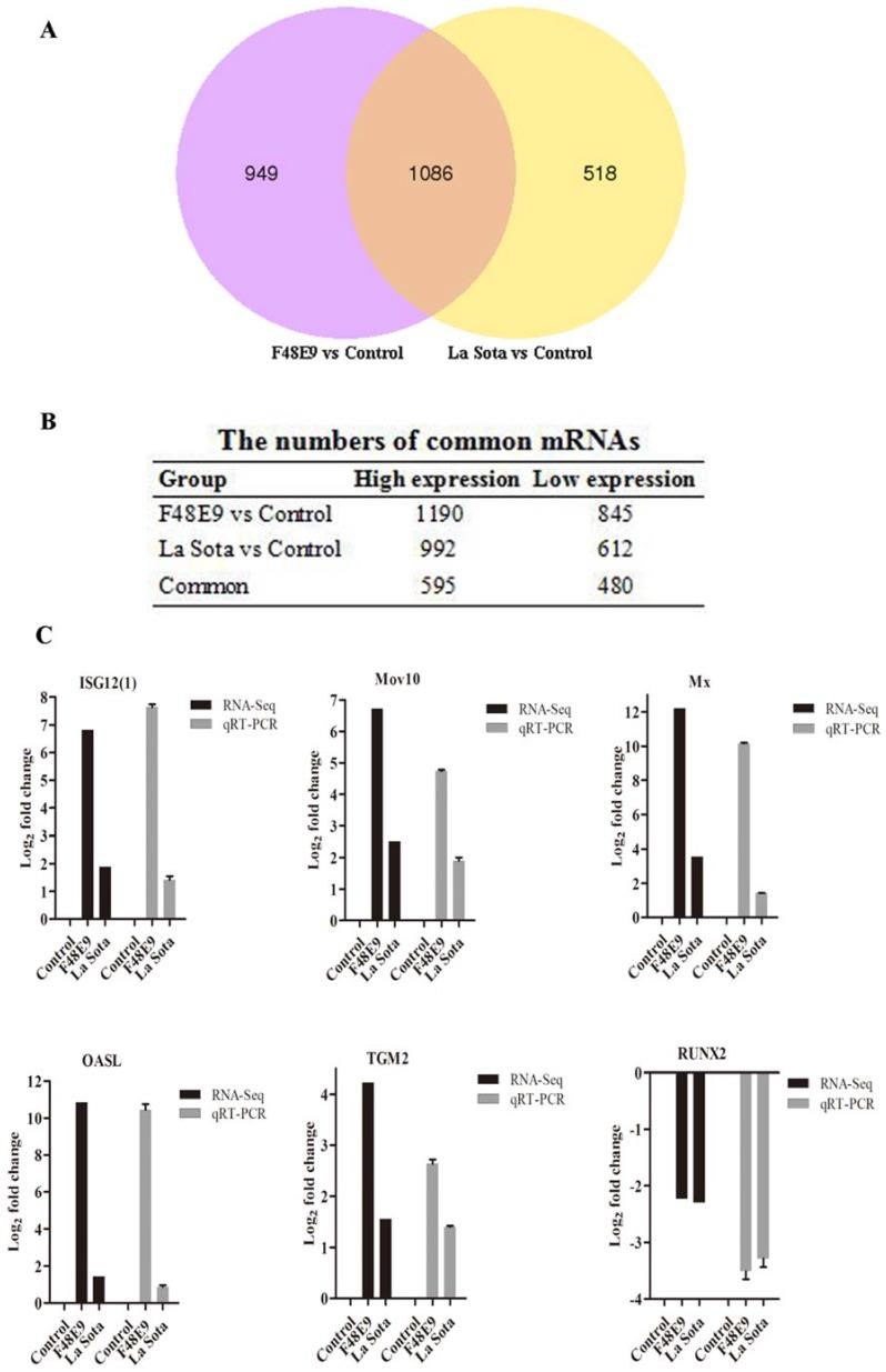 https://cdn.ncbi.nlm.nih.gov/pmc/blobs/6249/5983721/5c7ddf22fcbb/ijms-19-01291-g003a.jpg