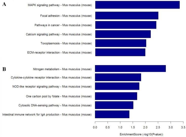 https://cdn.ncbi.nlm.nih.gov/pmc/blobs/624a/4278251/589fa4263b03/ijbsv11p0022g005.jpg