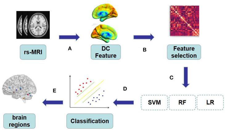 https://cdn.ncbi.nlm.nih.gov/pmc/blobs/624b/9453022/d50867fa666d/fneur-13-1005650-g0001.jpg