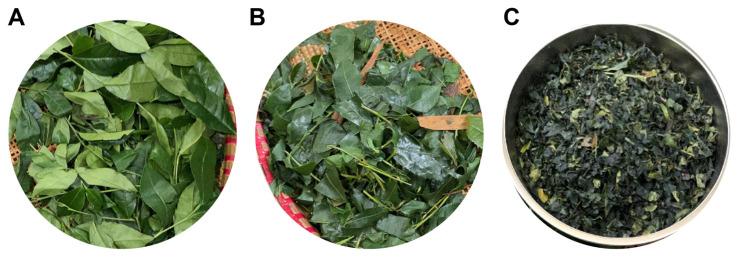 https://cdn.ncbi.nlm.nih.gov/pmc/blobs/624c/11640174/6198ea21120a/foods-13-03862-g001.jpg
