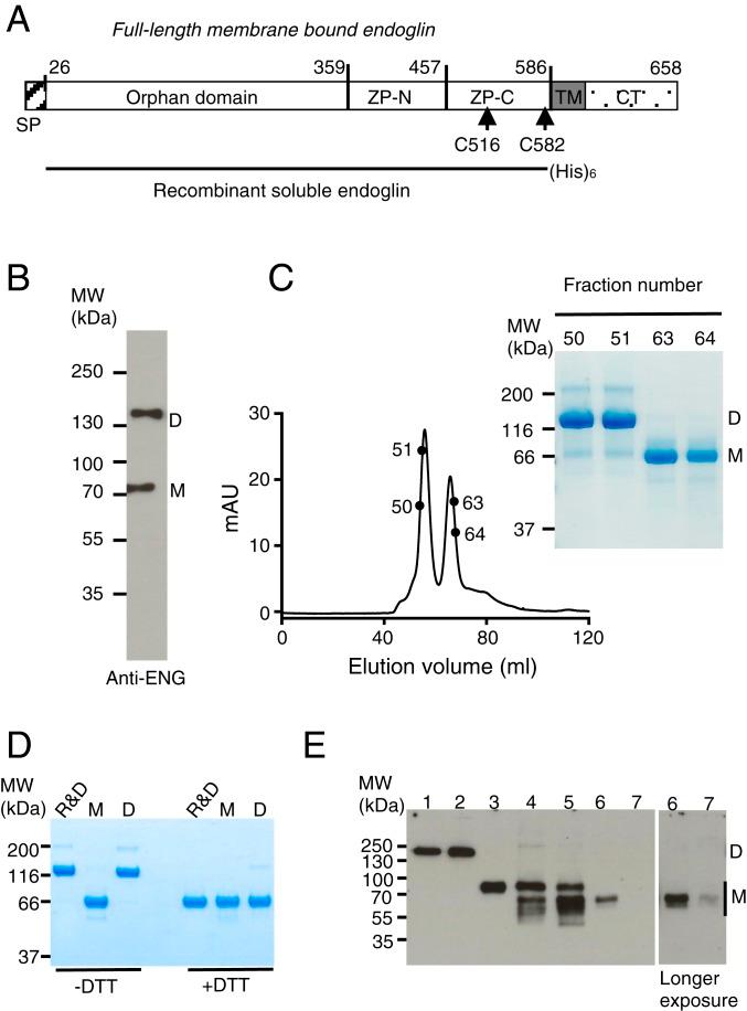 https://cdn.ncbi.nlm.nih.gov/pmc/blobs/624c/6731690/c9b7ff04aae3/pnas.1816661116fig01.jpg