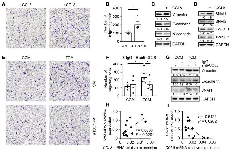 https://cdn.ncbi.nlm.nih.gov/pmc/blobs/624c/8970669/2686058dfe37/jci-132-153110-g126.jpg