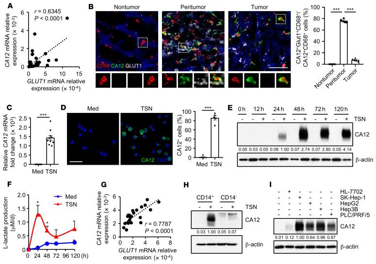 https://cdn.ncbi.nlm.nih.gov/pmc/blobs/624c/8970669/c34296b94da9/jci-132-153110-g122.jpg