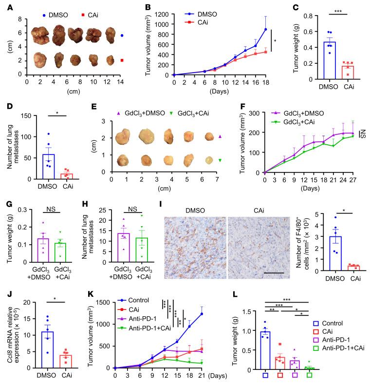 https://cdn.ncbi.nlm.nih.gov/pmc/blobs/624c/8970669/f47978c70bc2/jci-132-153110-g127.jpg