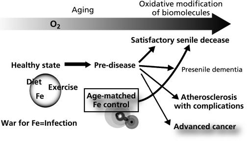 https://cdn.ncbi.nlm.nih.gov/pmc/blobs/6250/3022063/094ace44e2c6/jcbn11-001FRf03.jpg