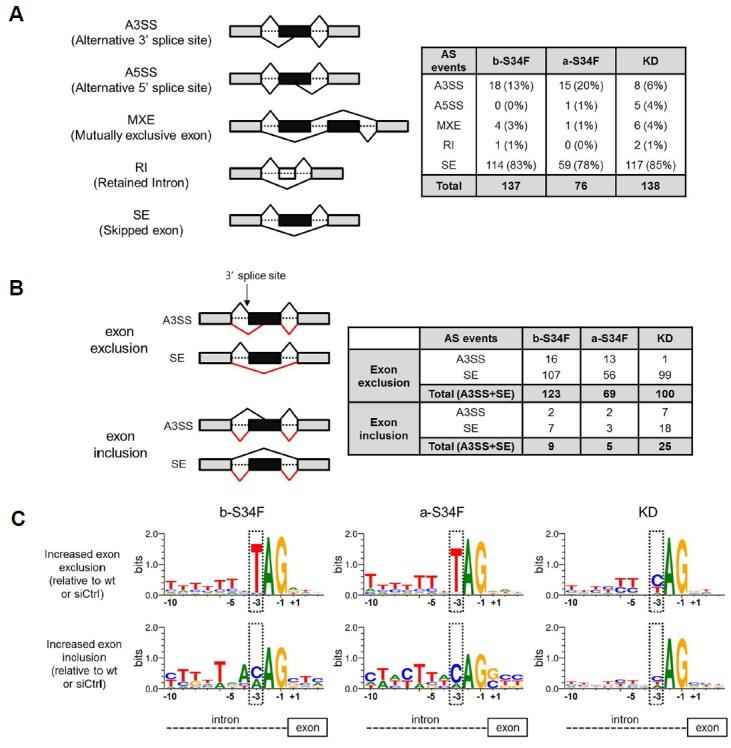 https://cdn.ncbi.nlm.nih.gov/pmc/blobs/6251/6125417/2fa0be8b30c2/molce-41-8-733f2.jpg