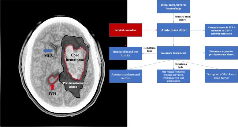 https://cdn.ncbi.nlm.nih.gov/pmc/blobs/6252/7006102/1af89ca1c424/13054_2020_2749_Fig1_HTML.jpg