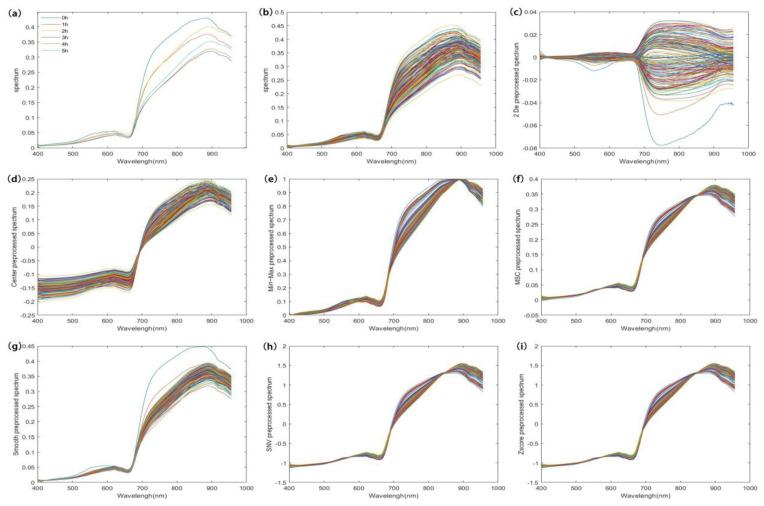 https://cdn.ncbi.nlm.nih.gov/pmc/blobs/6252/8659440/8f4a3d79bef8/sensors-21-08051-g004.jpg