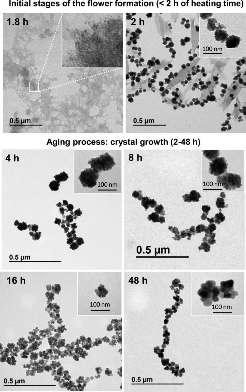 https://cdn.ncbi.nlm.nih.gov/pmc/blobs/6253/6645291/cd093daceb3c/ao-2017-00975y_0002.jpg