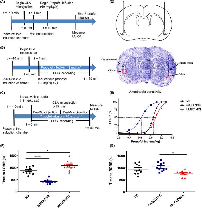 https://cdn.ncbi.nlm.nih.gov/pmc/blobs/6255/9804072/06a46709e002/CNS-29-378-g002.jpg