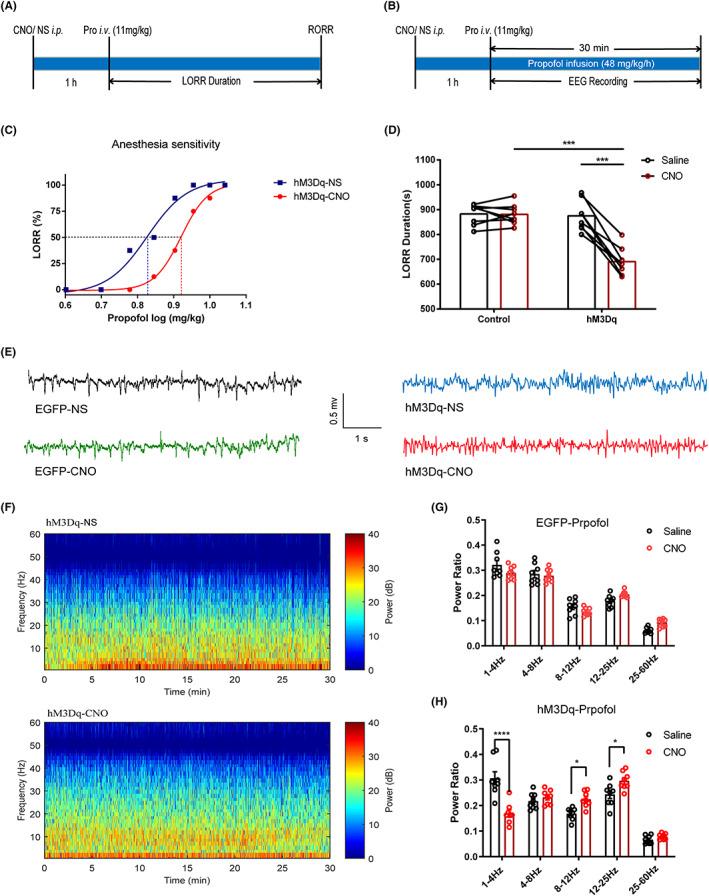 https://cdn.ncbi.nlm.nih.gov/pmc/blobs/6255/9804072/3a523486773a/CNS-29-378-g001.jpg