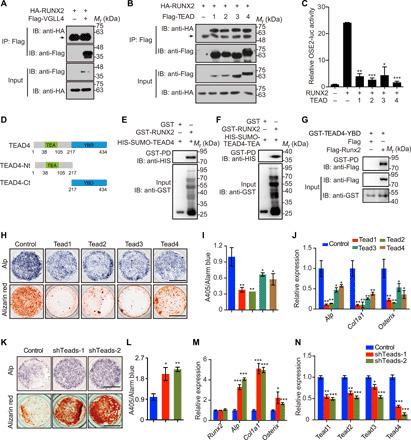 https://cdn.ncbi.nlm.nih.gov/pmc/blobs/6256/7608831/0be5a78c3f2f/aba4147-F3.jpg
