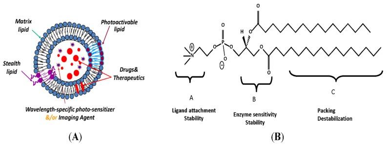 https://cdn.ncbi.nlm.nih.gov/pmc/blobs/6258/7073194/693513baa30a/cancers-12-00522-g004.jpg