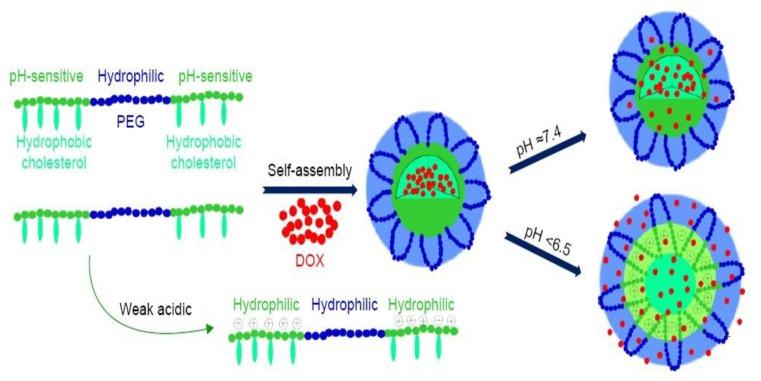 https://cdn.ncbi.nlm.nih.gov/pmc/blobs/6258/7073194/e0f130003022/cancers-12-00522-g006.jpg