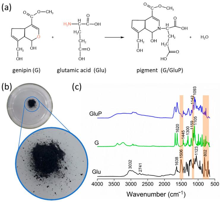 https://cdn.ncbi.nlm.nih.gov/pmc/blobs/6259/11435878/233bfc398afc/polymers-16-02615-g003.jpg