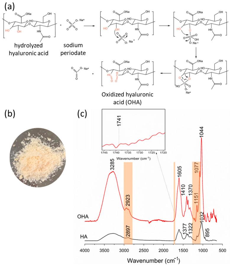 https://cdn.ncbi.nlm.nih.gov/pmc/blobs/6259/11435878/3539acfb8047/polymers-16-02615-g002.jpg