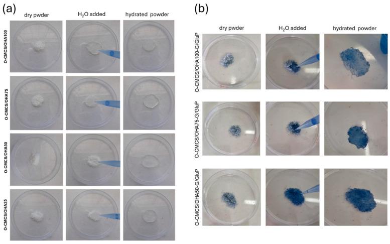https://cdn.ncbi.nlm.nih.gov/pmc/blobs/6259/11435878/e82118dba88c/polymers-16-02615-g004.jpg