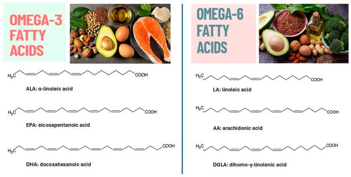 https://cdn.ncbi.nlm.nih.gov/pmc/blobs/6259/11944369/0e9d8415790e/nutrients-17-01039-g003.jpg