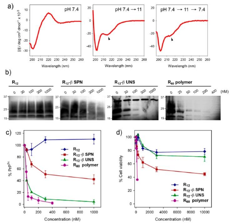 https://cdn.ncbi.nlm.nih.gov/pmc/blobs/625c/6928719/53aa92451c85/ijms-20-05850-g004.jpg