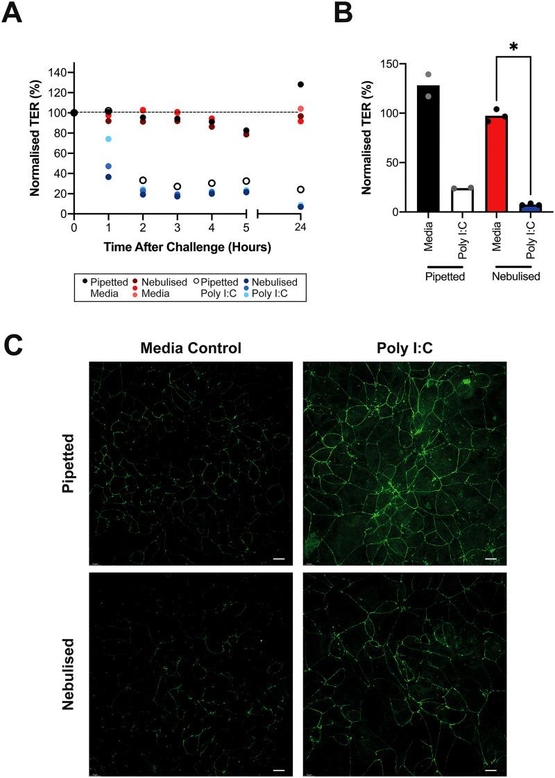 https://cdn.ncbi.nlm.nih.gov/pmc/blobs/625d/9473724/016c3e84bdb1/BIOMGB-000016-054102_1-g006.jpg