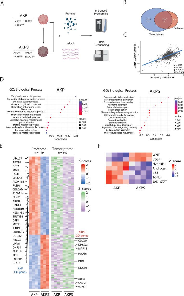 https://cdn.ncbi.nlm.nih.gov/pmc/blobs/625d/9830641/b43fc4ae0841/pr2c00551_0002.jpg