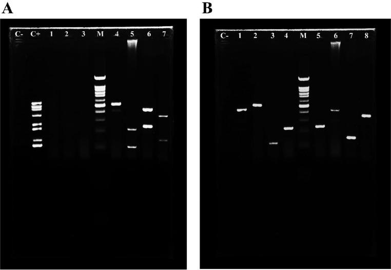 https://cdn.ncbi.nlm.nih.gov/pmc/blobs/625e/10404739/c691734ee06f/gr2.jpg