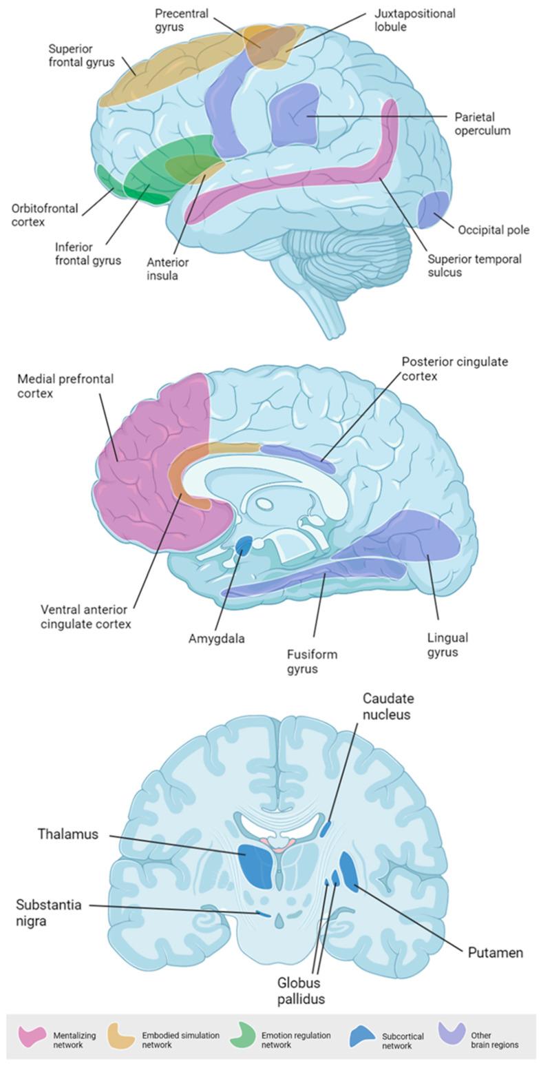 https://cdn.ncbi.nlm.nih.gov/pmc/blobs/625e/8233834/972176bf39a2/brainsci-11-00816-g003.jpg
