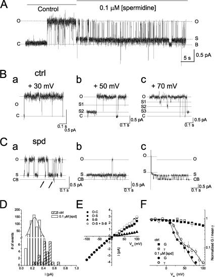 https://cdn.ncbi.nlm.nih.gov/pmc/blobs/625f/3290795/5da1f5042cb9/JGP_201110736R_Fig2.jpg