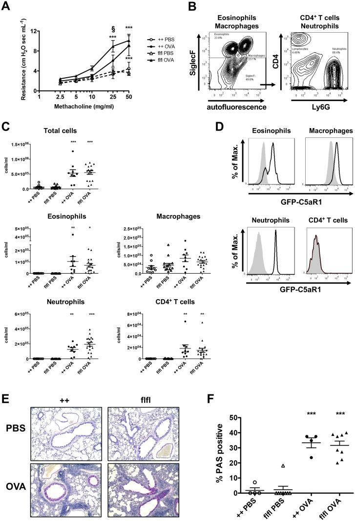 https://cdn.ncbi.nlm.nih.gov/pmc/blobs/625f/5322932/3179bff18d84/pone.0172446.g001.jpg