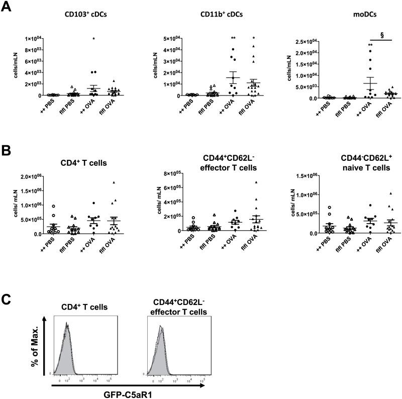 https://cdn.ncbi.nlm.nih.gov/pmc/blobs/625f/5322932/43e3fa994bfc/pone.0172446.g006.jpg