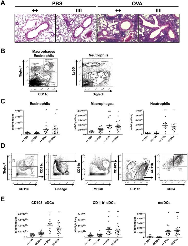 https://cdn.ncbi.nlm.nih.gov/pmc/blobs/625f/5322932/44de9f834f88/pone.0172446.g002.jpg