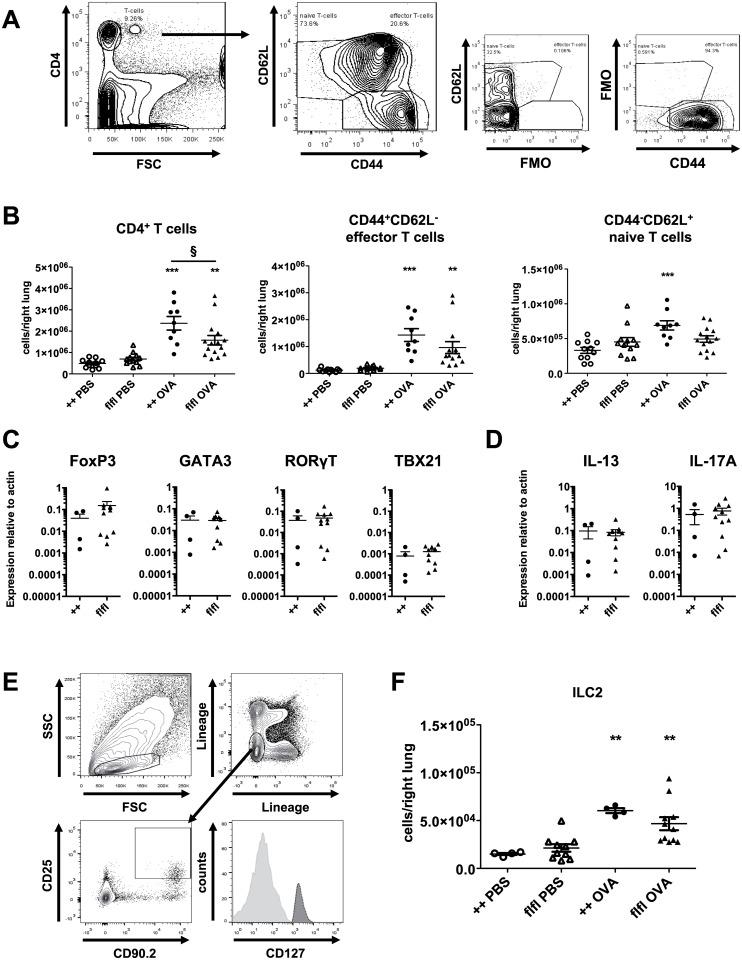 https://cdn.ncbi.nlm.nih.gov/pmc/blobs/625f/5322932/757d5192beef/pone.0172446.g003.jpg