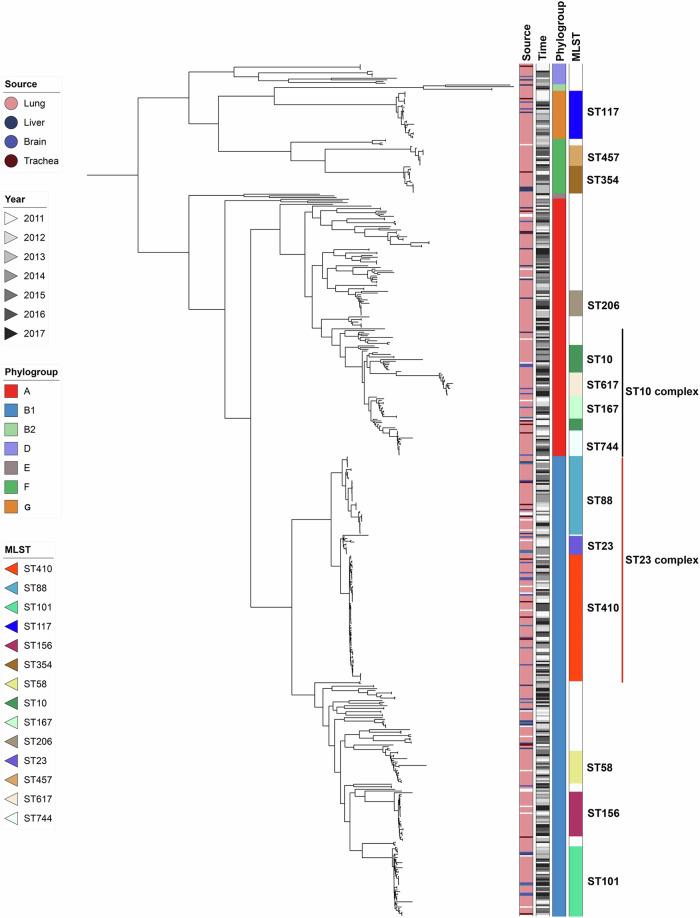 https://cdn.ncbi.nlm.nih.gov/pmc/blobs/6261/11237156/7e4c29225151/41467_2024_50268_Fig1_HTML.jpg