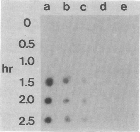 https://cdn.ncbi.nlm.nih.gov/pmc/blobs/6262/210689/6d906075554b/jbacter00180-0078-a.jpg