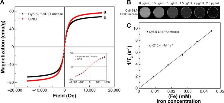 https://cdn.ncbi.nlm.nih.gov/pmc/blobs/6263/4356700/1c4aa960e7d2/ijn-10-1805Fig3.jpg
