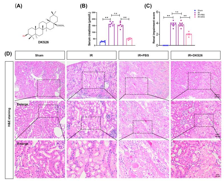 https://cdn.ncbi.nlm.nih.gov/pmc/blobs/6265/11988948/3765662213d9/ijms-26-02985-g001.jpg