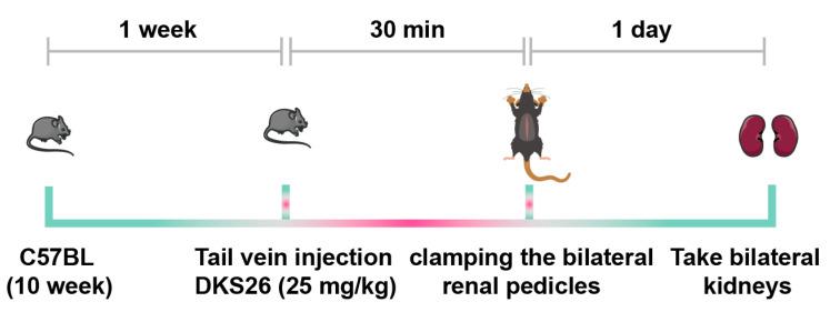 https://cdn.ncbi.nlm.nih.gov/pmc/blobs/6265/11988948/c3b825374057/ijms-26-02985-g008.jpg